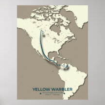 Yellow Warbler Migration Map – Minimalist Vintage 