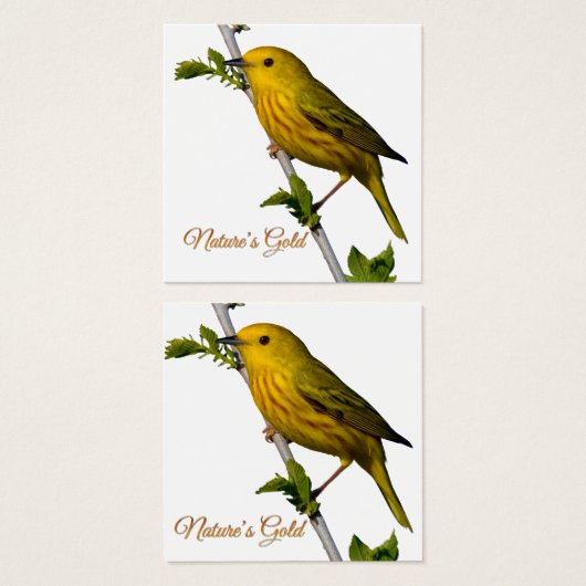 Yellow Warbler “Nature’s Gold” Printed Art Card (正面&裏面)
