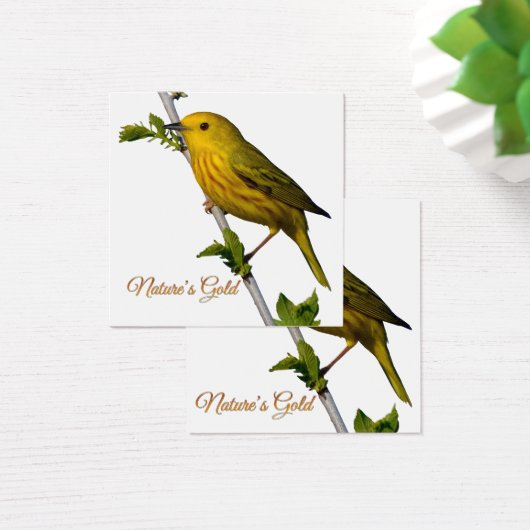 Yellow Warbler “Nature’s Gold” Printed Art Card (デスク)