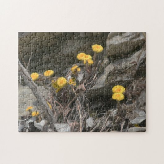 Yellow Wild Flowers In Rocks Oil Painting  ジグソーパズル (横)