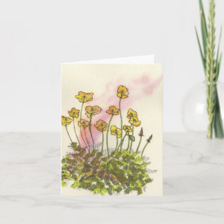 Yellow Wild Poppy Greeting Card サンキューカード