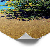 Yellow Wildflowers In Sand  ポスター (角)