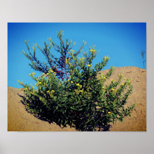 Yellow Wildflowers In Sand ポスター