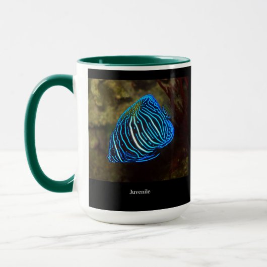 Yellowbar angelfish マグカップ (左)