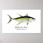 Yellowfin Tuna ポスター (正面)