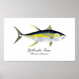 Yellowfin Tuna ポスター