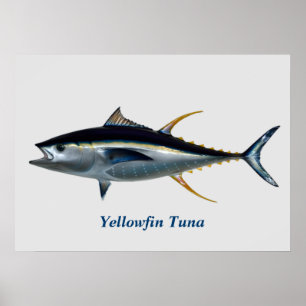 Yellowfin Tuna Poster ポスター