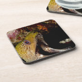 Yellowmarginのあくびをし、威圧的な口 コースター (左側)