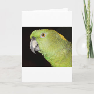 Yellownapeアマゾン カード