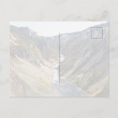 Yellowstone National Park Bison ポストカード (裏面)