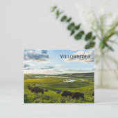 Yellowstone National Park Postcard ポストカード (スタンド正面)