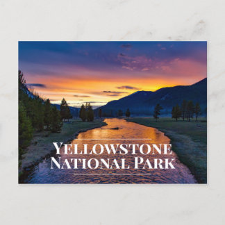 Yellowstone National Park Souvenir Postcard ポストカード