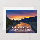 Yellowstone National Park Souvenir Postcard ポストカード (正面/裏面)