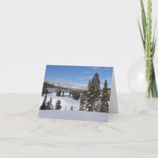 Yellowstone Winter Landscape Photography カード (正面)