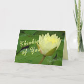 YellowWaterLily-カスタマイズ カード (正面)