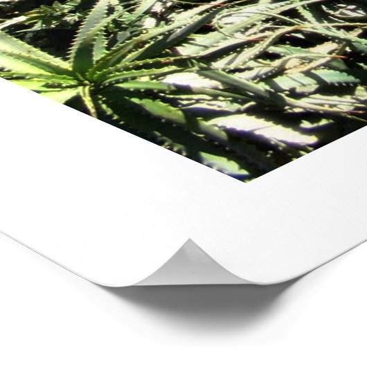 Yemin Moshe ポスター (角)