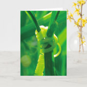 Yesできる！ロージーザリベターテンドリルつる植物 カード (黄色い花)