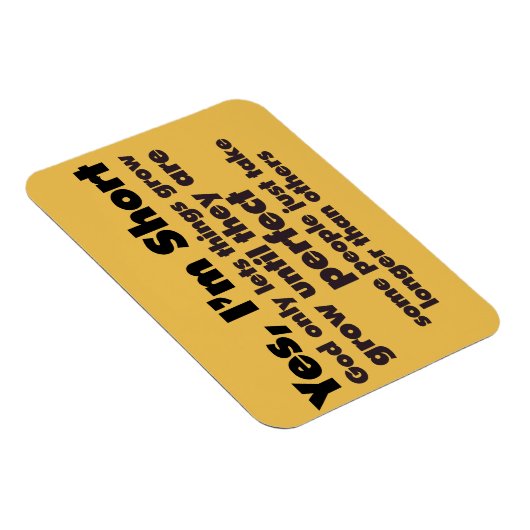 Yes不足 マグネット (右側)