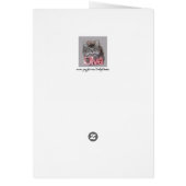 「Yes、規則だ！」 子猫 (裏面)