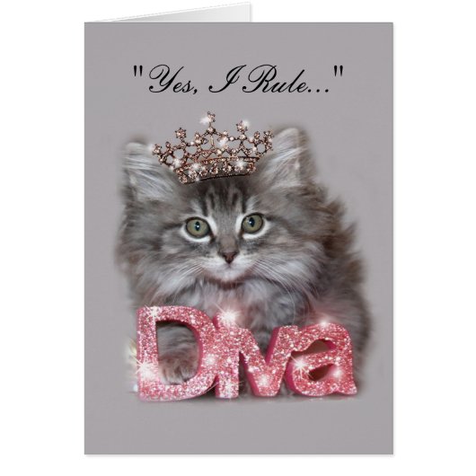 「Yes、規則だ！」 子猫 (正面)