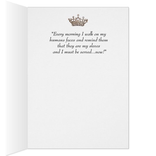 「Yes、規則だ！」 子猫 (内側 (右))