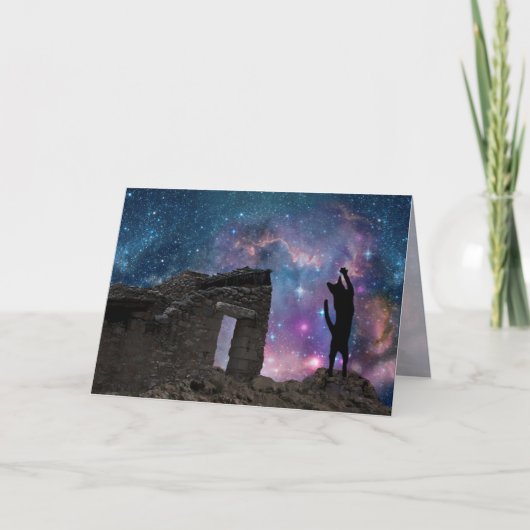 Yeshuaの猫: ナザレの夜空 シーズンカード (正面)