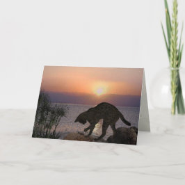 Yeshuaの猫: Capernaumのマリ カード