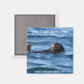 yesi am sea otter素晴らし magnet マグネット (正面/裏面)