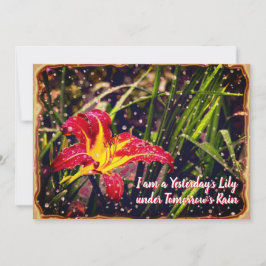 Yesterday Lily in Tomorrow Rainはがき シーズンカード