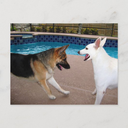 YesYour Majesty～はがき ポストカード (正面)