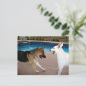 YesYour Majesty～はがき ポストカード (スタンド正面)