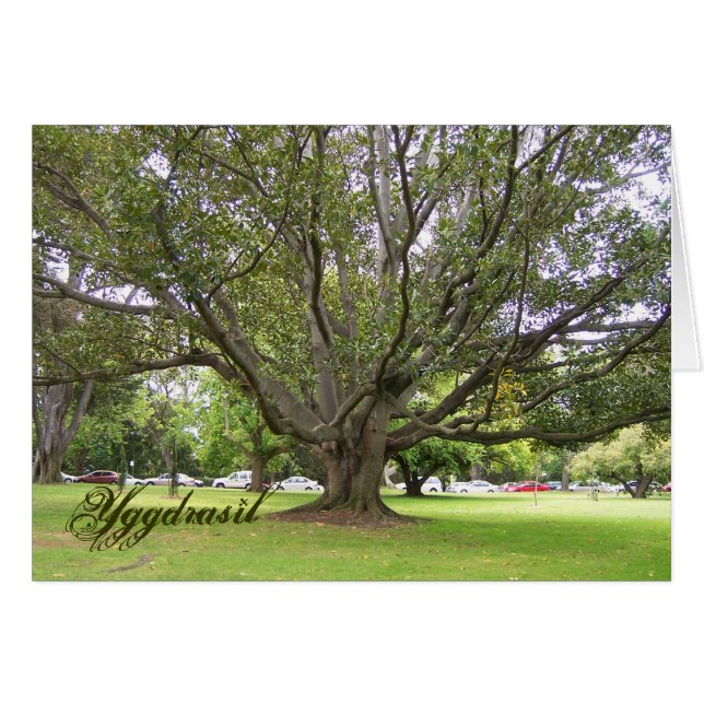 Yggdrasil (正面横)