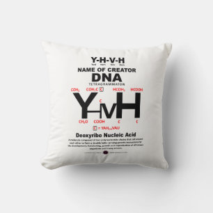 YHVH-DNA化学結合 クッション