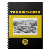 YNOMEザ金ゴールドラッシュ3