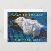 YNOTME VAN GOGHISH GOAT AT TROUGH2 ポストカード (正面/裏面)