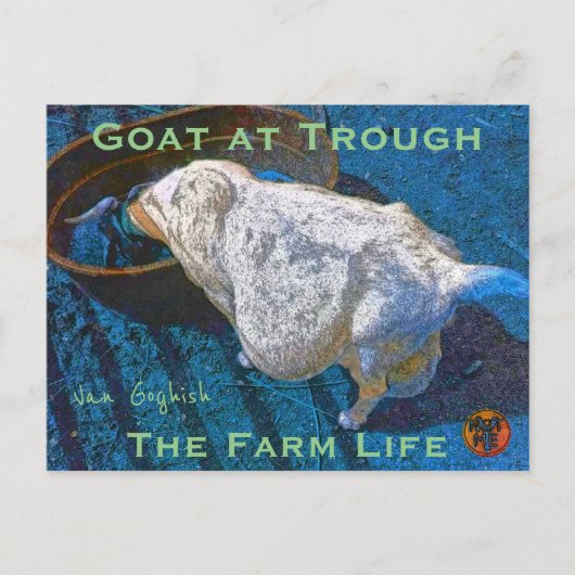 YNOTME VAN GOGHISH GOAT AT TROUGH2 ポストカード (正面)