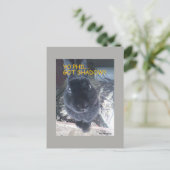 Yo Phil, 得 Shadow – はがき (スタンド正面)