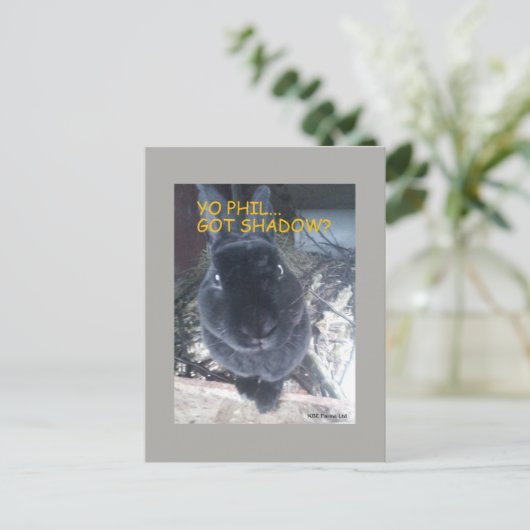 Yo Phil, 得 Shadow – はがき (スタンド正面)