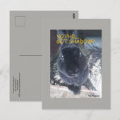 Yo Phil, 得 Shadow – はがき (正面/裏面)