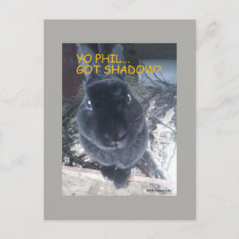 Yo Phil, 得 Shadow – はがき