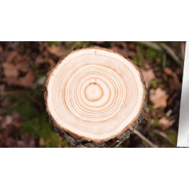 YOGAスタジオ価格リスト瞑想ポーズボディリーフ ラックカード