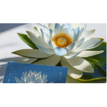 YOGA瞑想インストラクターロイヤリティパンチロータス