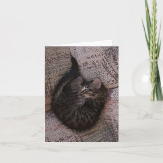 Yoga Kitten Greeting Card カード (正面)