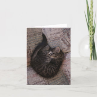 Yoga Kitten Greeting Card カード