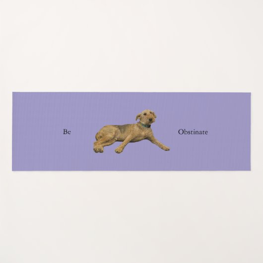 Yoga Mat ヨガマット (正面(横))