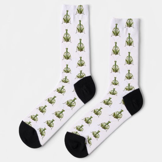 Yoga Praying Mantis Socks ソックス (左)