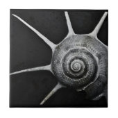 Yokaの貝のタイル タイル (正面)