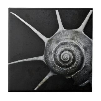 Yokaの貝のタイル タイル