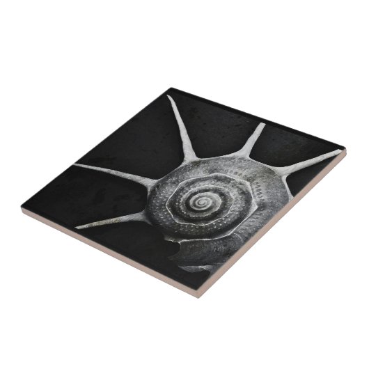 Yokaの貝のタイル タイル (側面)