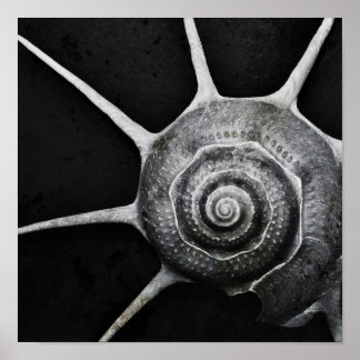 Yoka Shellポスター ポスター